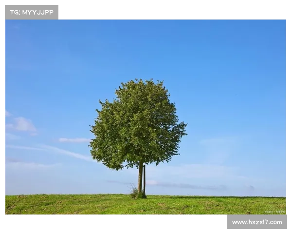 生命的精彩源自于哪些深刻与独特的体验与感悟的交织与碰撞 生命的精彩源自于哪些深刻与独特的体验与感悟的交织与碰撞